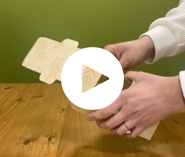 Paper Sandwich Wedge Boxes w/ PLA Windows | SW-NT-M
