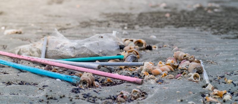 https://cdn11.bigcommerce.com/s-l5dryyv/product_images/uploaded_images/straws-on-beach.jpg