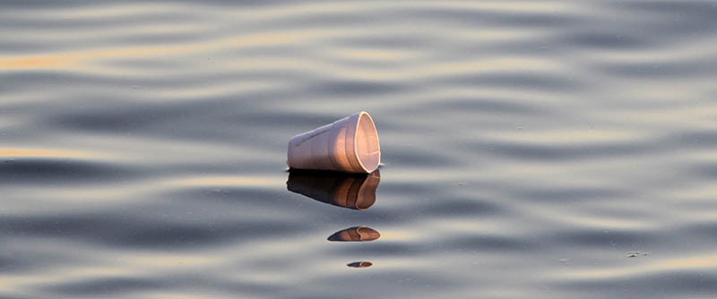 Insulated Styrofoam Cups & Lids