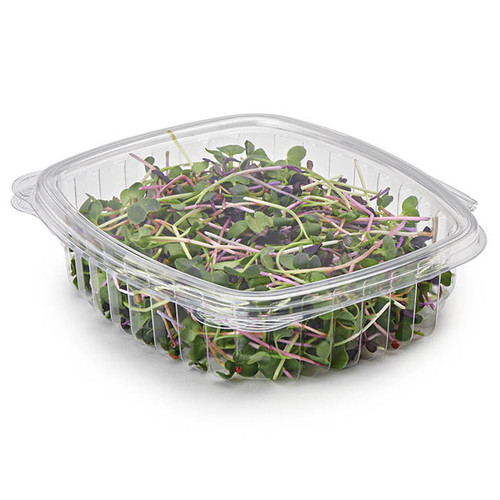 Basic Nature 24 oz Round Clear PLA Plastic To Go Bowl - Compostable - 7 x  7 x 2 1/4 - 500 count box