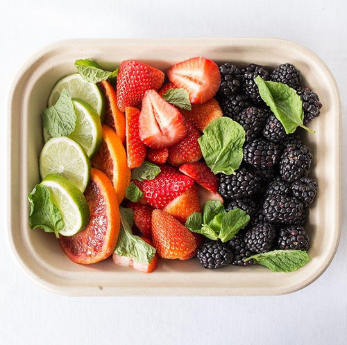 17 oz Compostable Fiber Containers | TR-SC-U8-LFP