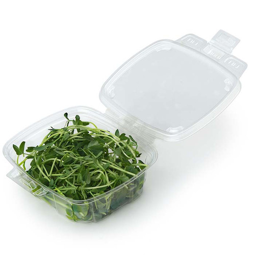 Sample of 2 oz Compostable PLA Clamshell Containers