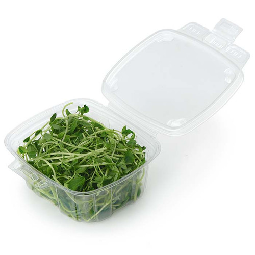 Sample of 16 oz Compostable PLA Clamshell Containers