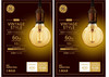 (2 pack) GE Lighting Vintage Style LED G30 Globe Light Bulb, 5.5 Watts (60 Watt Equivalent) Warm Candle Light, Amber Glass, Medium Base, Dimmable, 400 lumens