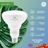 (2 bulbs) GE Grow Lights for Indoor Plants, BR30 Indoor Floodlight, LED Light Bulbs for Flowers and Fruit, Advanced Red Light Spectrum, 25,000 Hours Lifespan, 15 PPF, (Packaging May Vary)