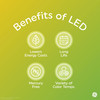 (case of 20)  GE Lighting Vintage Style LED Tube Light Bulb, 5 Watts (60 Watt Equivalent) Warm Candle Light, Amber Glass, Medium Base, Dimmable, spiral filament 