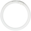 GE Lighting 33890 Cool White 12-Inch Diameter Circline Fluorescent Bulb, 32-Watt