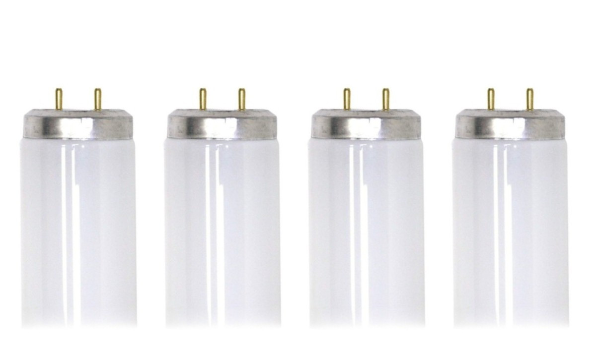 (case of 4) Sylvania F20T12/DSW 23510, Designer Soft White 24 inch Fluorescent Tube