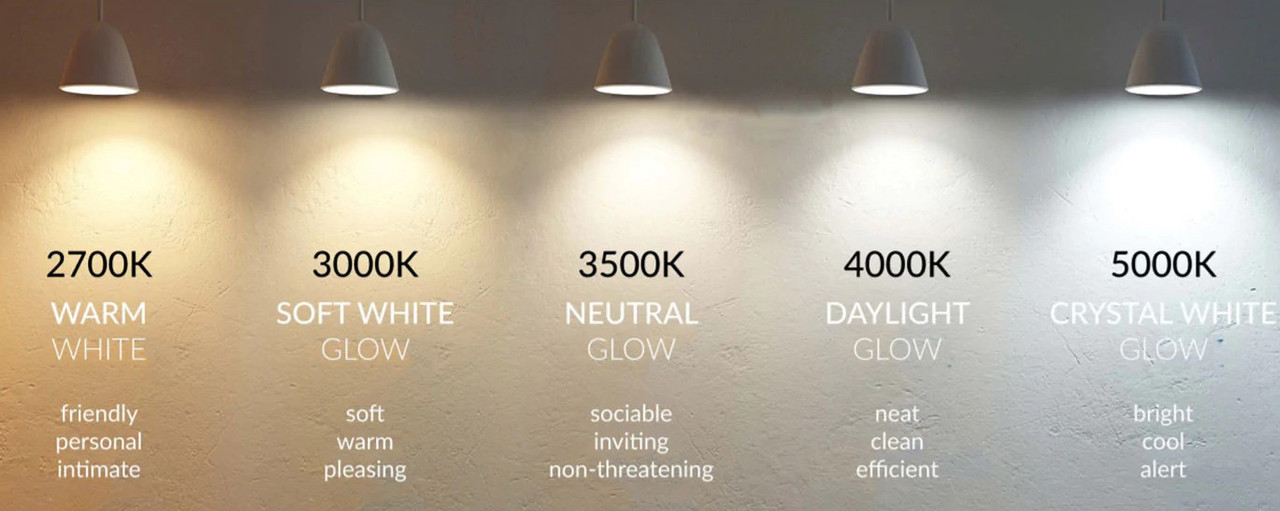 SYLVANIA A21 LED Light Bulb, 3 Way, 50W/ 100W/ 150W, 13 Year, Non-Dimmable, Up to 2600 Lumens, 5000K, Daylight - 1 Pack (79770)