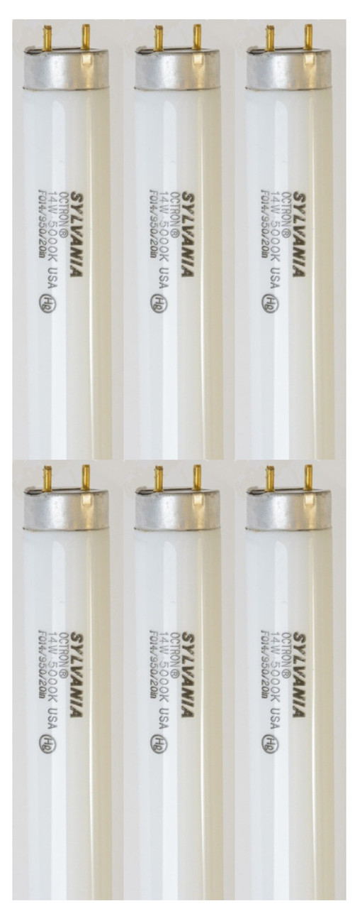 (6 tubes) Sylvania 21868 14 watt T8 Octron 20 inch Fluorescent Tube, 5000K Fluorescent Lamp