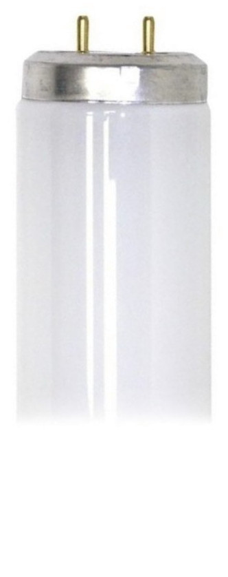 GE Lighting Daylight F17T8  17 watt T8 Fluorescent Tube, 24 inch,  1250 lumens, 6500K Daylight, Medium BiPin (G13) base