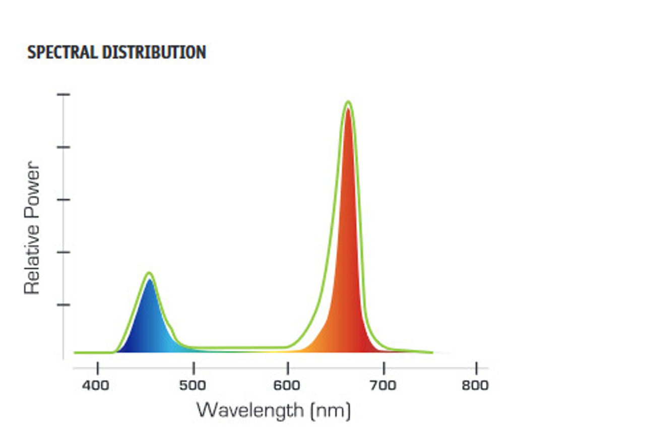 Hubbell Industrial  NutriLED NGL24 LED Horticultural Light, 49 inch length, 62 watt, Specialty LED Plant Light
