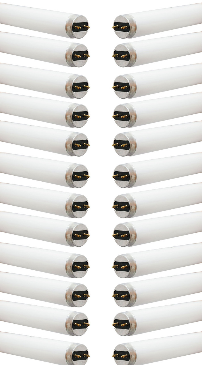 (case of 24) GE Lighting 22662 40-watt 3725-Lumen T8 Light Bulb, 4100K Color Temp, 60 inches,  with Medium Bi-Pin G13 Base