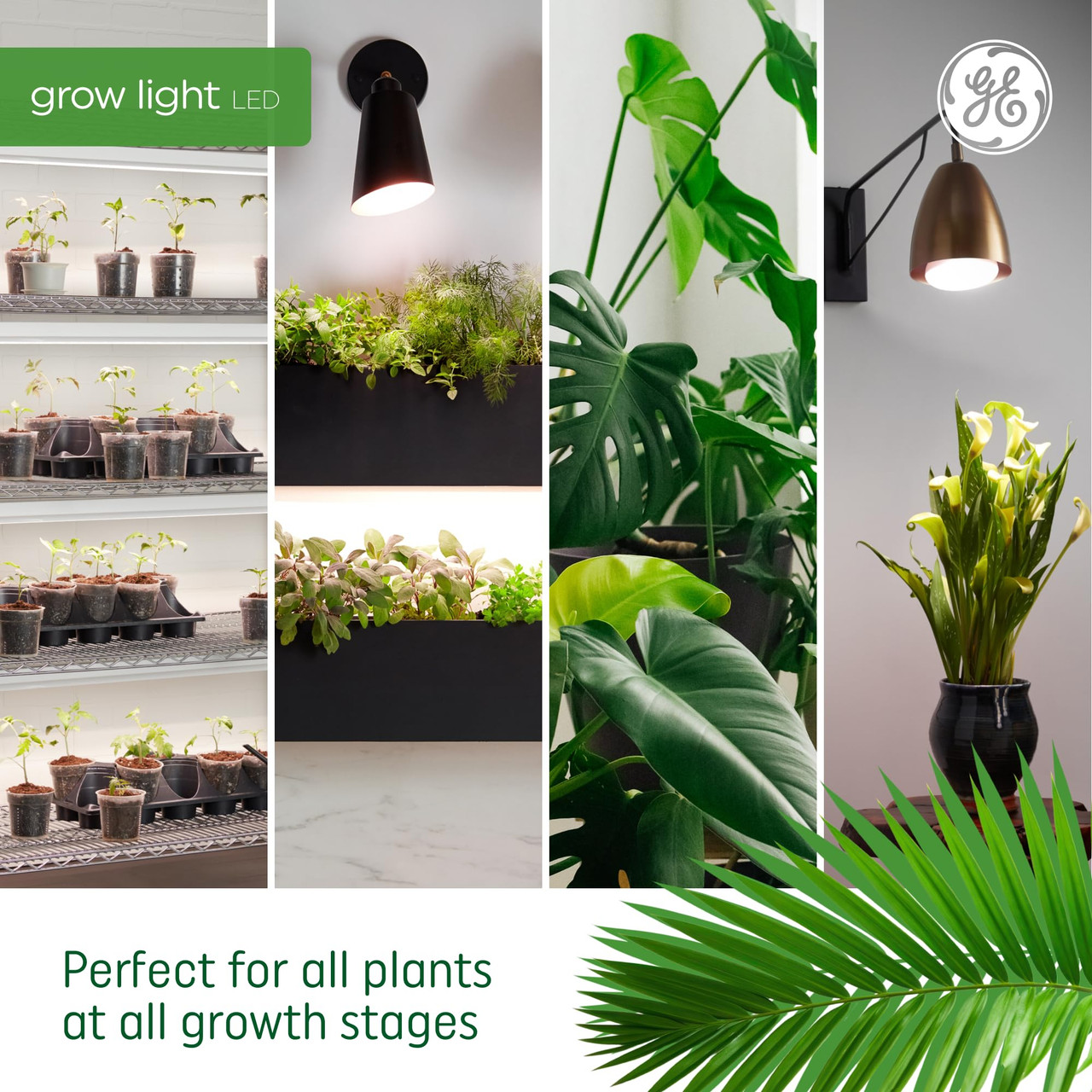 GE Grow Lights for Indoor Plants, BR30 Indoor Floodlight, LED Light Bulbs for Seeds and Greens with Balanced Spectrum, 25,000 Hours Lifespan, 16 PPF, 2 Pack (Packaging May Vary)