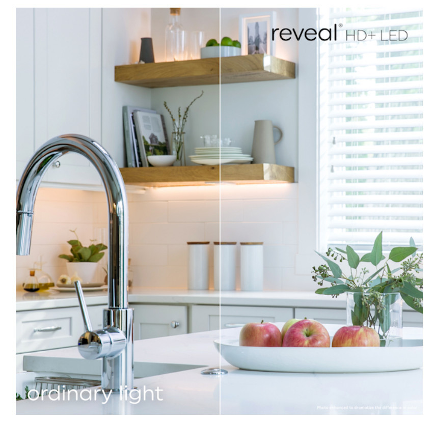 GE reveal LED HD+ Color-Enhancing G25 Globe, 5 watt, 400 lumen, Dimmable LED Decorative Globe Medium Base Frosted  G25 Bulb (2-Pack)