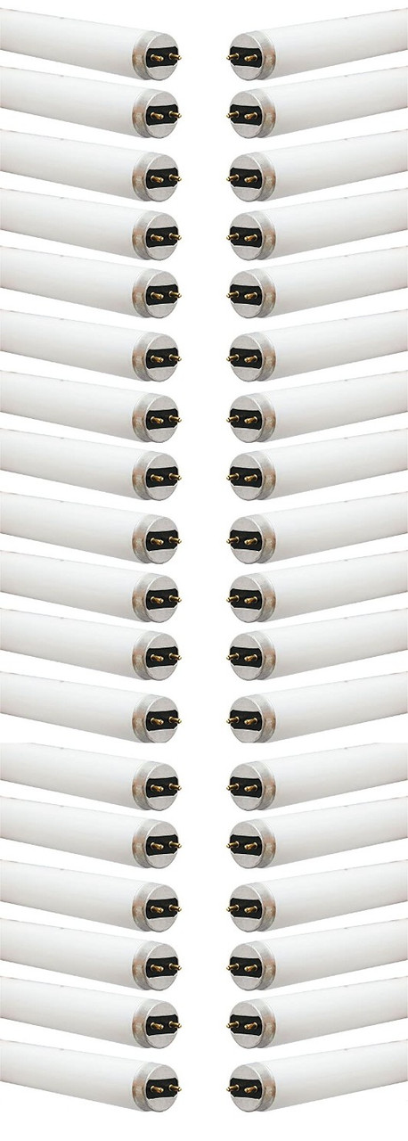 (case of 36) Fluorescent Linear Lamp, T8, Cool White 4100K, 25 watts, 2400 lumens, 48 inch T8
