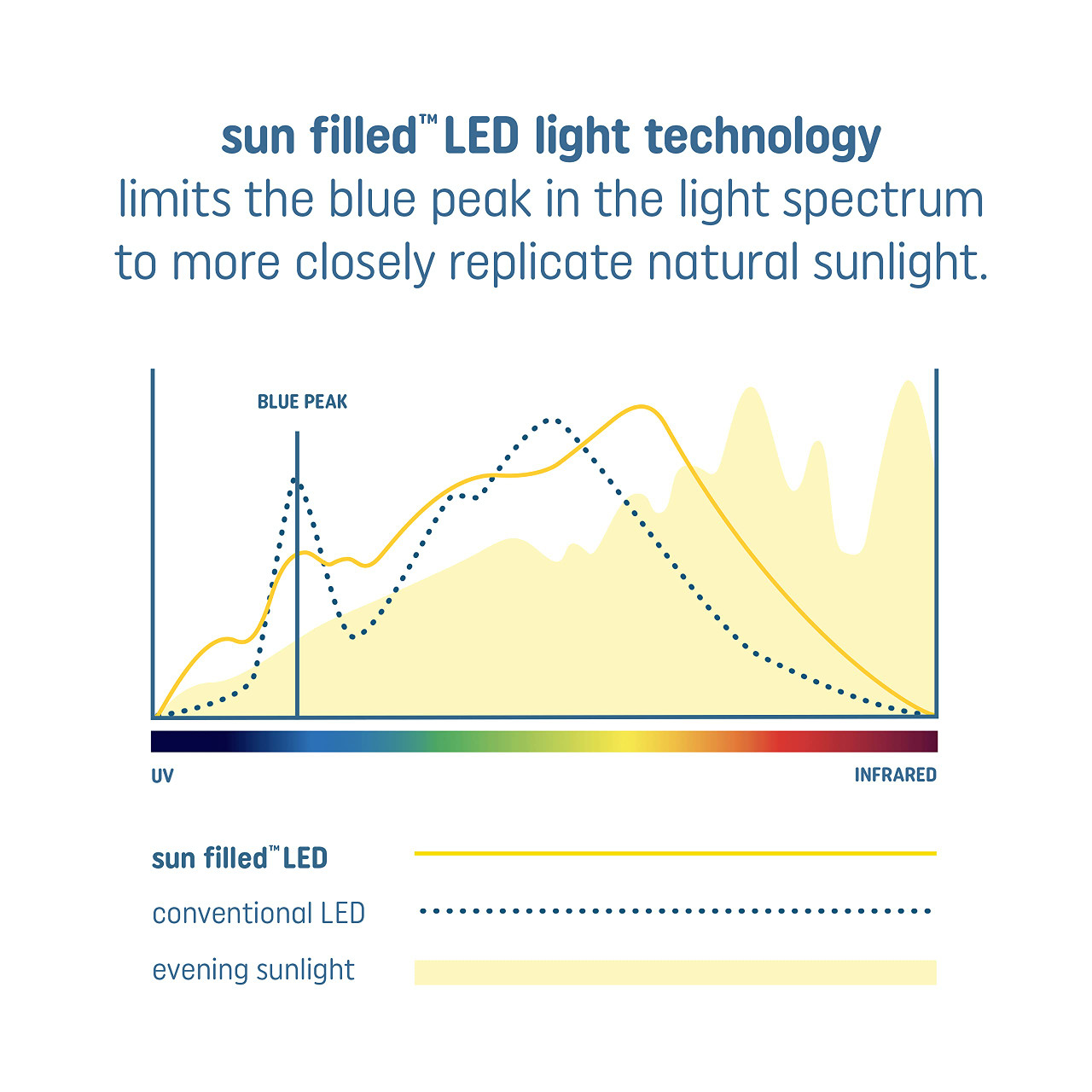 GE Lighting Sun Filled LED Light Bulb, 60 Watt Replacement, Daylight,  97 CRI, Medium Base, Dimmable (case of 8)
