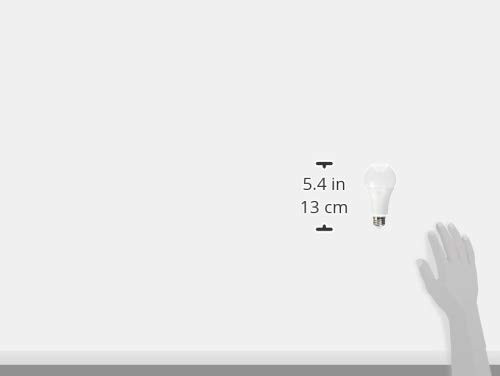 GE Lighting Sun Filled LED Light Bulb, 60 Watt Replacement, Daylight,  97 CRI, Medium Base, Dimmable (case of 8)