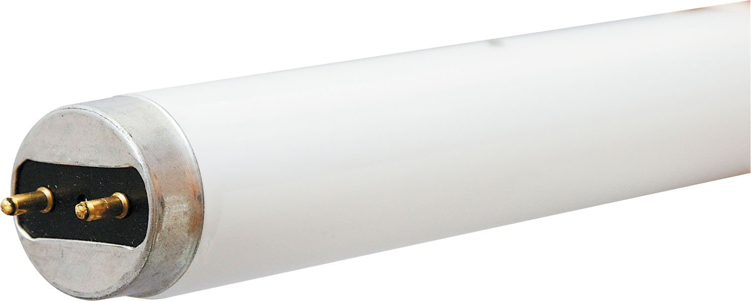 GE Lighting 10322 32-watt 3100-Lumen T8 Light Bulb with Medium Bi-Pin G13 Base, 36-Pack
