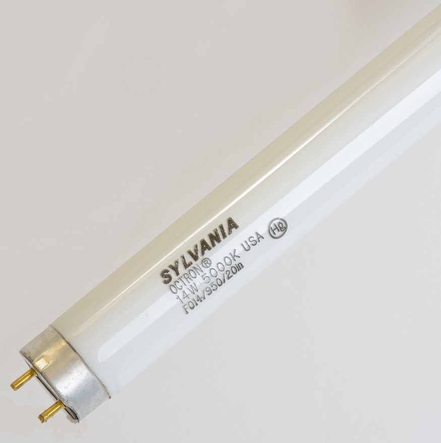 Sylvania 21868 FO14/950/20 Fluorescent T8, 14 watt 20 inch 5000K Daylight- Case Qty 30