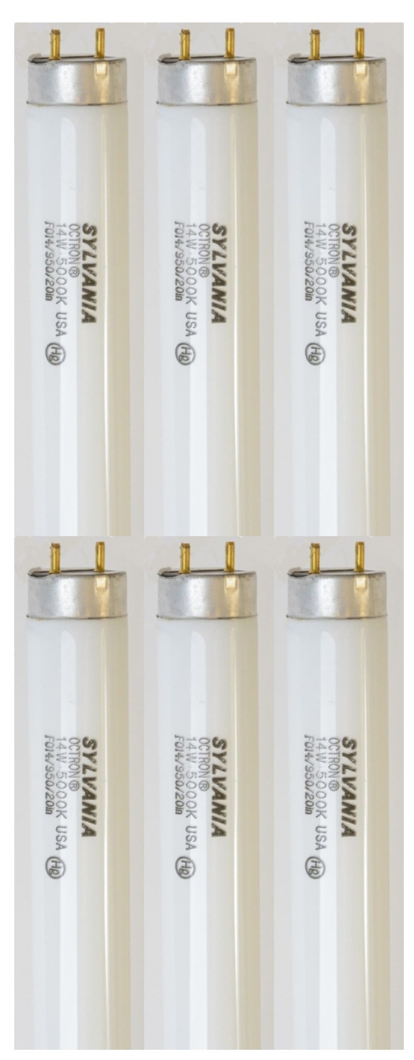 (6 tubes) Sylvania 21868 14 watt T8 Octron 20 inch Fluorescent Tube, 5000K Fluorescent Lamp