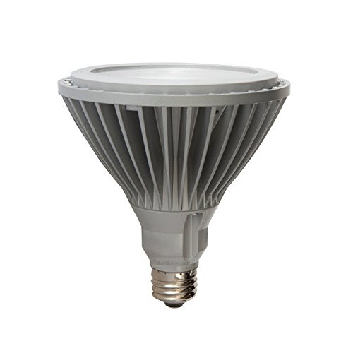 GE Lamps LED18P38L830/25-120 Directional PAR38 Replacement LED Bulb 18 Watt 120 Volt 3000K Medium Screw E26 Base 50000 Hour Life Silver