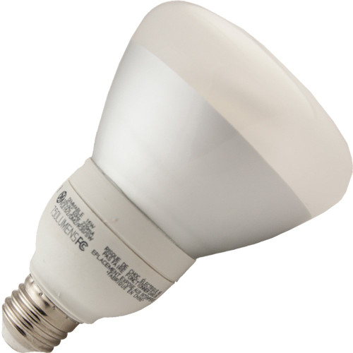 GE Lighting 66665 15W R30 Soft White Dimmable Reflector Flood Light