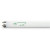 GE 72129 F32T8/25WSPX35  EC  fluorescent tube 32 watt T8 (case of 36)