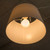 (case of 6 bulbs) Sylvania LED G25 Glass Globe 40 watt equivalent Soft White Dimmable