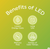 (8 bulbs)GE relax LED G16.5 Globe Light Bulbs, 40 watt replacement, medium base, warm soft white high definition light, 2700K, Decorative frosted Globe LED Light Bulbs 