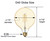 (case of 3 bulbs) GE Lighting 48631 Vintage LED G40 Light Bulb, Warm Candlelight, Amber Glass, 60 watt equivalent using only 5.5 watts, 400 lumens, Dimmable, Vintage Style LED Light Bulb