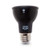GE 93327 PAR20 LED Reflector Flood, 7 watts, 3000K Color Temp, 800 series, Dimmable, 520 lumen LED Light Bulb, Narrow Flood Beam