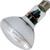 GE Lighting 90811 Energy Smart Bright from The Start CFL 15-watt 650-Lumen R30 Indoor Flood Light Bulb with Medium Base
