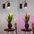 GE BR30 LED Grow Lights for Indoor Plants, Full Spectrum, 9-Watt Grow Light Bulb, Plant Light Bulb with Red Reproductive Spectrum for Flowering and Fruiting