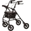 ProBasics Deluxe Aluminum Rollator with 8-inch Wheels black