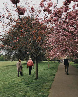 A Comprehensive Guide to Enhancing Independence with Mobility Aids A Comprehensive Guide to Enhancing Independence with Mobility Aids