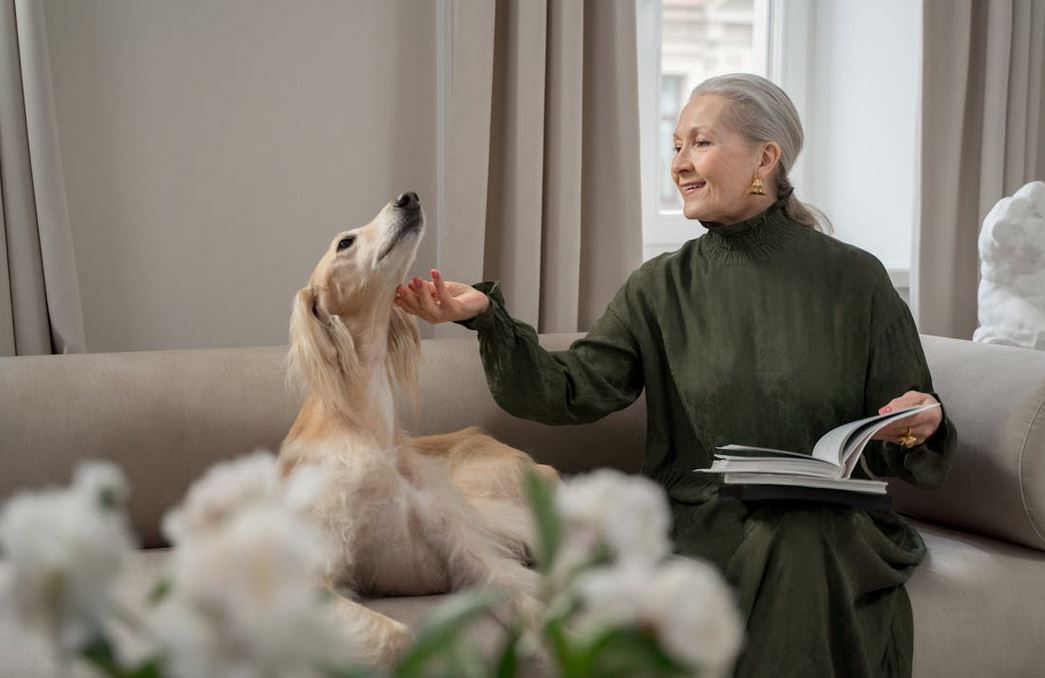 How Pets Can Aid and Comfort Seniors in a Facility Setting How Pets Can Aid and Comfort Seniors in a Facility Setting