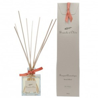 Branche D'olive 100ml Diffuser