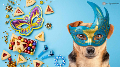 Is dressing up your dog for carnival fun or too much?  Is dressing up your dog for carnival fun or too much?