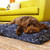 rocketman dog bed cover rocketman dog bed cover