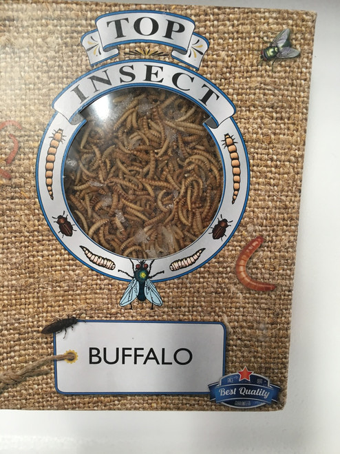 Topinsect  Buffalo worm 1 litre box