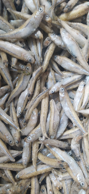 Smelt IQF 500g