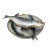Herring  IQF
