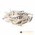 Smelt IQF 500g