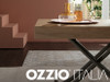 Ozzio