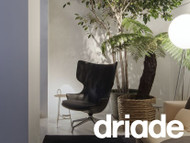 Driade