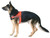 Search and Rescue Harness - Orange