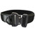 Evolution Nylon Dog Collar with Cobra D-Ring