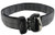 Evolution Nylon Dog Collar with Cobra D-Ring