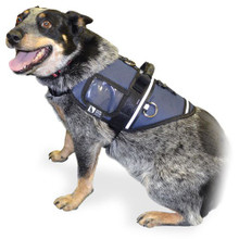 Activ Dog Harness - ACTIV